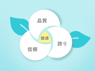 质量政策